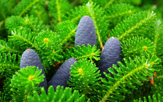 589985 (a): :2560x1600